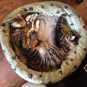 Kortney Kropp's photo
