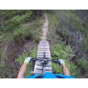 Jed Hissey's photo