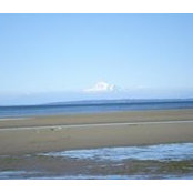Susan McBain's photo