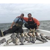 Mike Francese's photo