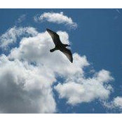 Judi van Staalduinen's photo