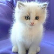 Avery Allen's photo
