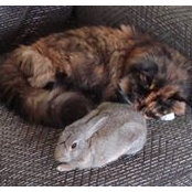 Julie Osborne's photo