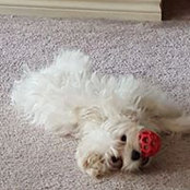 Barbara Parks's photo