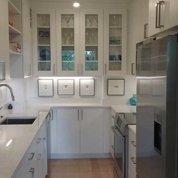 DC Apartment Remodel