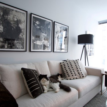My Houzz: Chicago Condo Is a Change of Scene