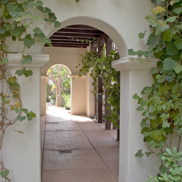 Laguna