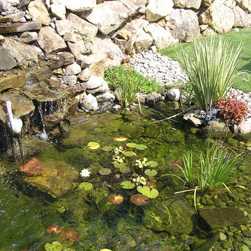 Water Features