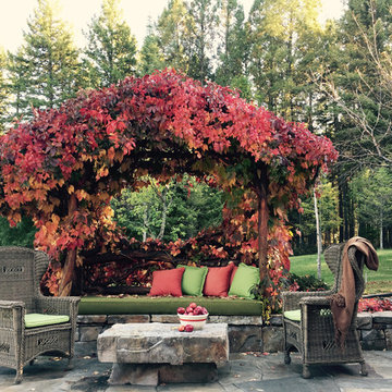 Back Patio in the Fall