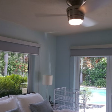 Roller and Solar Shades