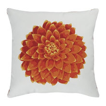 couch pillows