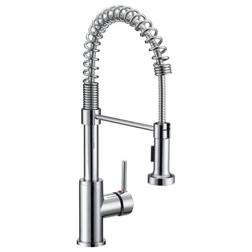 Arcadia Single Control Dual Function Stainless Steel Kitchen Faucet, Chrome