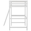 Riley Loft Bed Frame with Desk, Frame, Guard Rails & Ladder for Kids and Teens, White, Twin