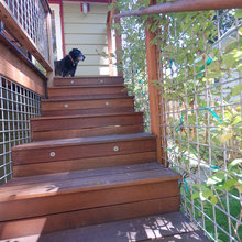 Deck & Garden