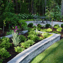 1139 Crystal - Landscape