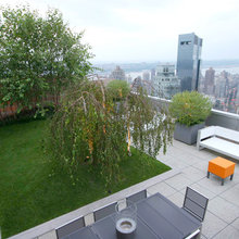 Midtown Roof Terrace