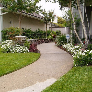 Landscape with Low Voltage Path Lights