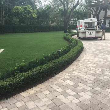 Our Work