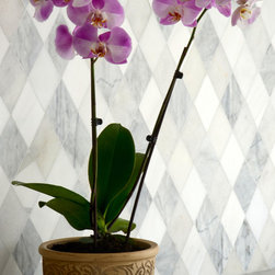 Almas, Talya Collection by Sara Baldwin for Marble Systems - Tile