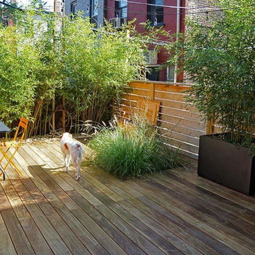 Carroll Gardens Backyard