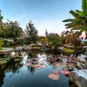 Custom Pond Project in Knoxville Tennessee