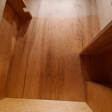 Spring Lakes Hidden Gun Closet