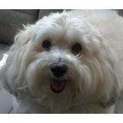 Cindy Griggs's photo