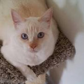 Ellyn Camp's photo