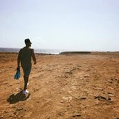 Nicholas Brantley's photo