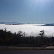 Brenda Whidden's photo