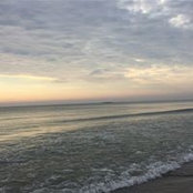 Freya Schlegel's photo