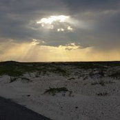 Victoria Boyd's photo