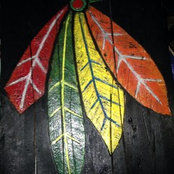 Drew Mallett's photo