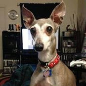 Michael Weaver's photo