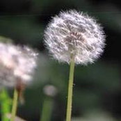 Serge Sigouin's photo