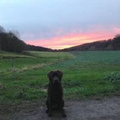 Kelly James's photo