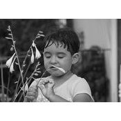 Luis Miranda's photo