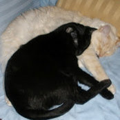 Kimberly Macellaro's photo