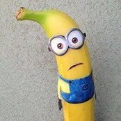 Phan Nghia's photo