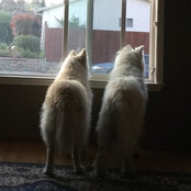 Foto de Beth Woodruff-Reno
