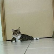 Naim Husin's photo