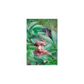 Renee Lane's photo