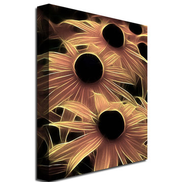 'Black Eyed Susans Abstract' Canvas Art by Kathie McCurdy