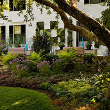 front yard