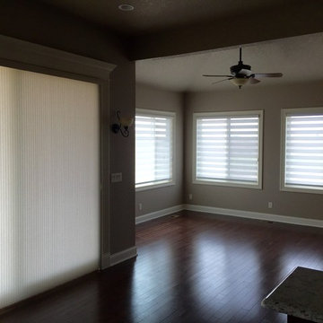 Allure Transitional Shades