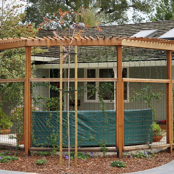 Los Gatos Front Yard Lounge