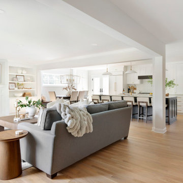 Edina Court - Whole Home Remodel