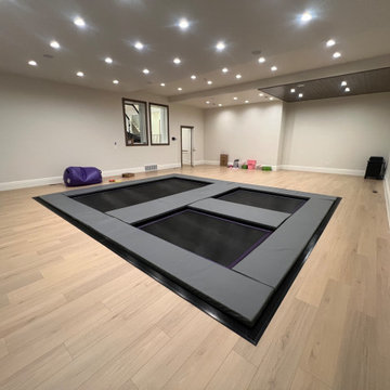 Project Trampoline Vault