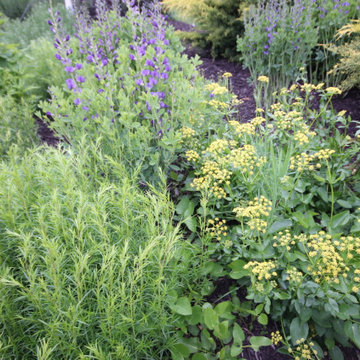 Native Plant Landscaping, Hardscaping, and Bioswales