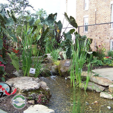 Pondless Waterfalls Ideas for your Kentucky Landscape